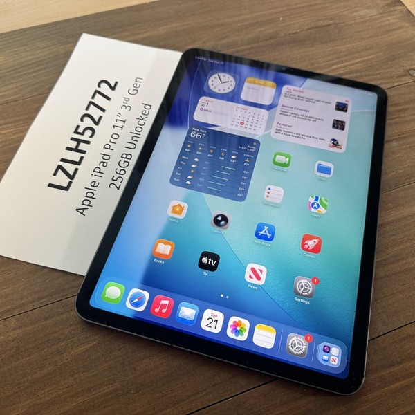 Apple iPad Pro 11 inch 3rd Gen 2021 - Unlocked, 256 GB, Gray