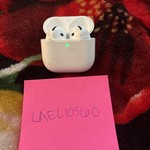 Used Apple AirPods (4th Gen) - Standard