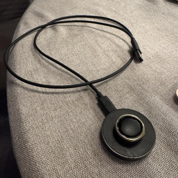 Oura Ring Gen 3 - Gold, Size 10, Heritage