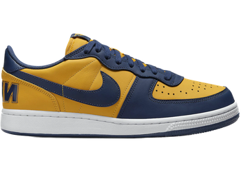 Nike Terminator Low Michigan for sale