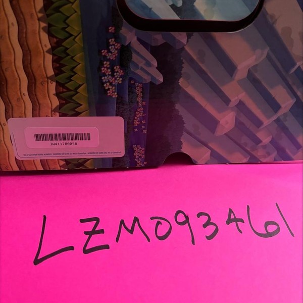 Wii U - 32 GB, Black