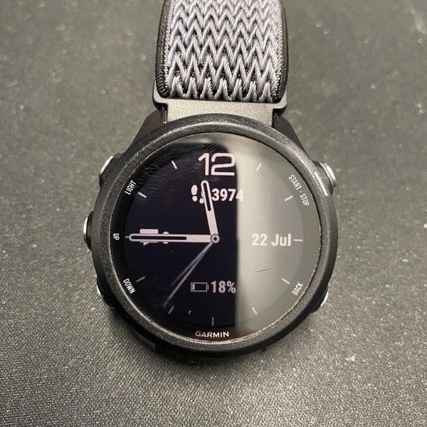 Garmin Forerunner 245 - Gray, Regular