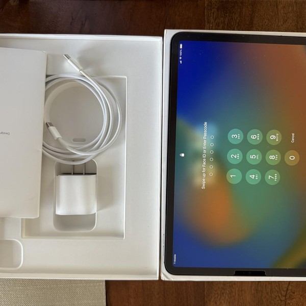 Apple iPad Pro 11 inch 4th Gen 2022 - Unlocked, 1 TB, Gray