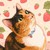 Seller: Emma K.