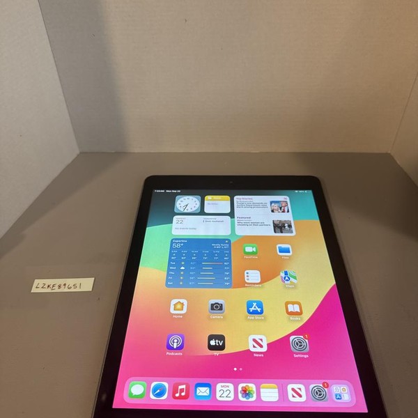 Apple iPad 6th Gen - Unlocked, 32 GB, Gray, A1954