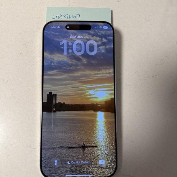 Apple iPhone 16 Pro Max - Unlocked, White, 256 GB, A3084