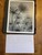 Mint Amazon Kindle Scribe 10.2" - 16 GB