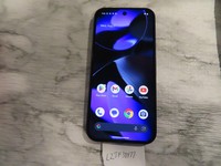 Google Pixel 9