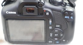 Mint
													Canon EOS Rebel T6, photo 3 of 15