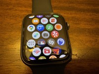Apple Watch SE 1st Gen 44mm