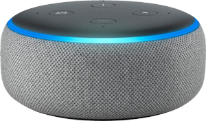 Amazon Echo Dot 3rd Gen - Gray