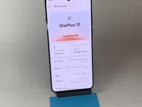 OnePlus 13