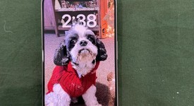 Mint
													Apple iPhone 15 Pro - Unlocked, White, 128 GB, A2848, photo 4 of 7