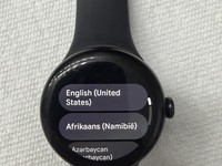 Google Pixel Watch 2