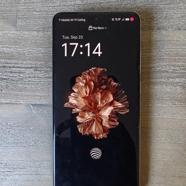 Vivo X200 Pro - Unlocked Non-US, 512 GB, Titanium, 16 GB