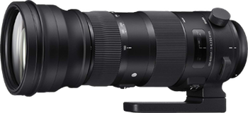 Sigma 150-600mm 5-6.3 Sport DG OS HSM Lens for sale
