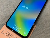 Apple iPhone X