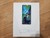 Fair Google Pixel 7 - Unlocked, Lemongrass, 128 GB, 8 GB, GVU6C, Sub-6 5G