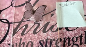 Mint
													Amazon Kindle Paperwhite 12th Gen 2024 - Amazon, Pink, photo 6 of 6