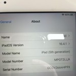 Good Apple iPad (5th Gen) - Wi-Fi, 32 GB, Gold, A1822