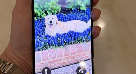 Good
													Apple iPhone 14 Pro Max - Unlocked, Purple, 256 GB, A2651, photo 4 of 10