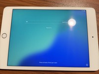 Apple iPad Mini 5th Gen