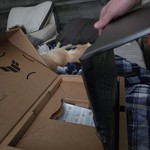 Mint Asus TUF Gaming A16 - 512 GB, Black, 16 GB, AMD Ryzen 7