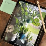 Mint Apple iPad 10th Gen - Wi-Fi, 64 GB, Silver, A2696