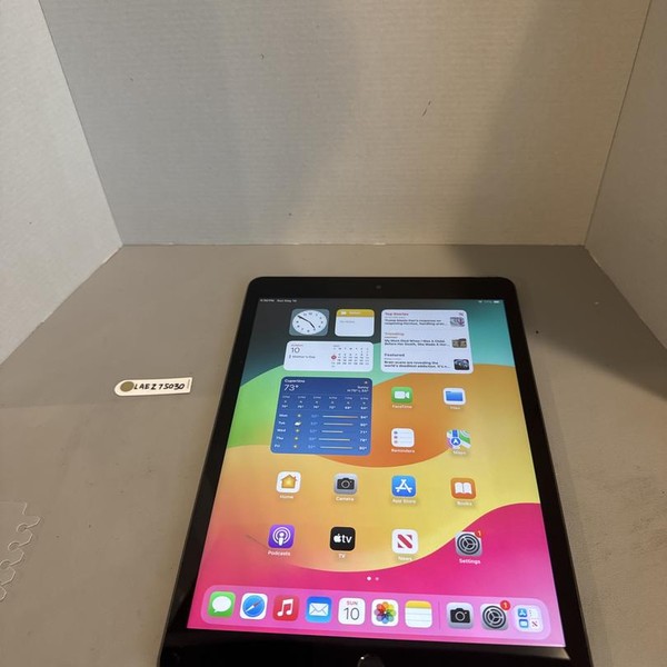 Apple iPad (9th Gen) - Unlocked, 256 GB, Gray, A2603