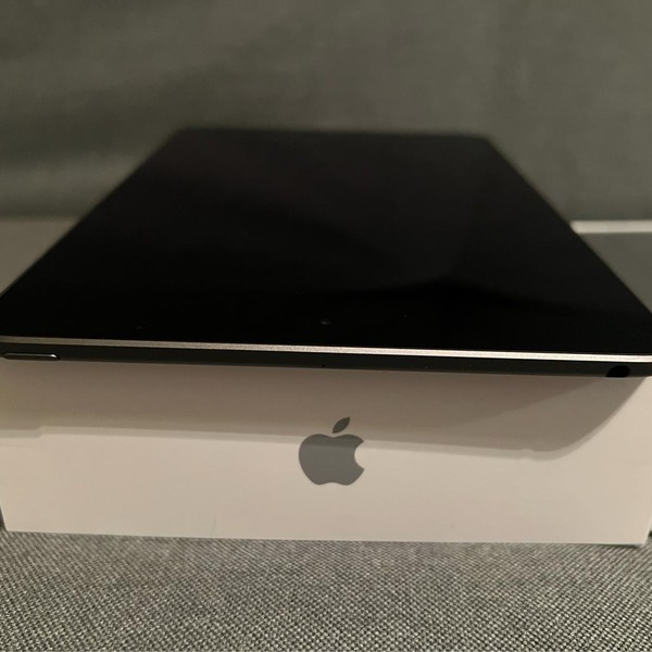 Apple iPad Mini 5th Gen - Wi-Fi, 64 GB, Gray