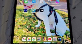 Mint
													Apple iPad Pro 12.9" 6th Gen 2022 - Wi-Fi, Silver, 128 GB, photo 5 of 5