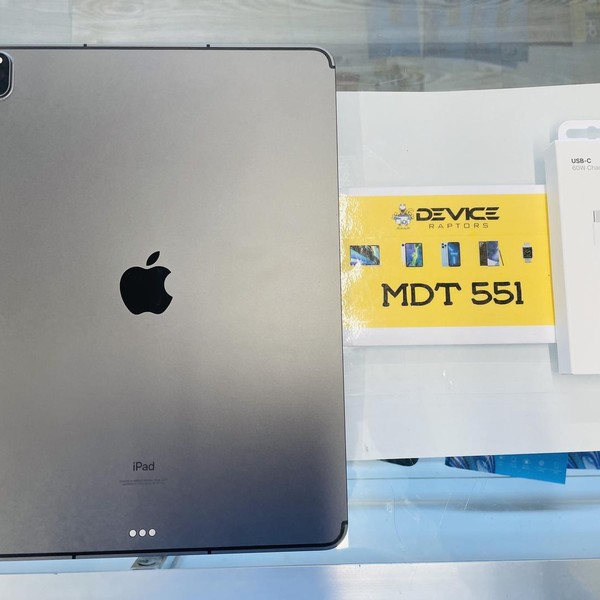 Apple iPad Pro 12.9 inch 5th Gen 2021 - Unlocked, 256 GB, Gray