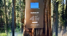 Mint
													MacBook Air 2025 (M4) - 15" - Apple M4, Midnight, 256 GB, 16 GB, photo 5 of 5