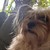 Seller: Dereck M.