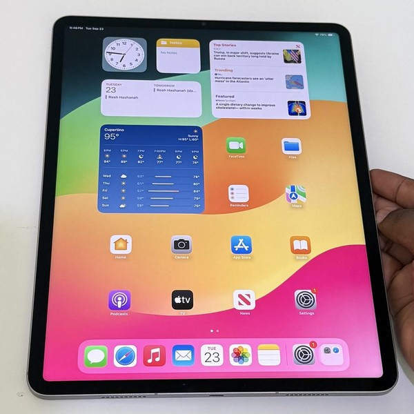 Apple iPad Pro 12.9 inch 6th Gen 2022 - Unlocked, 256 GB, Gray