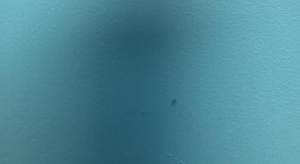 New
													Apple iPhone 16e - Unlocked, White, 128 GB, A3212, photo 2 of 5