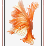 Good Apple iPhone 6S - Unlocked, Grey, 32 GB, A1688