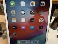 Apple iPad Mini 2 Retina