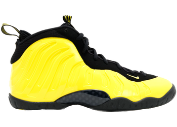 Nike Air Foamposite One Wu-Tang (GS) for sale