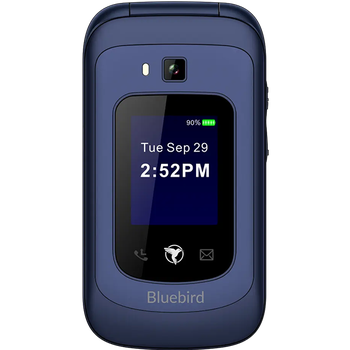 Sunbeam F1 Horizon for sale