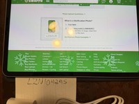 Apple iPad Pro 11" 4th Gen 2022