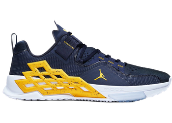 Jordan Alpha 360 TR Michigan for sale