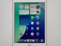 Apple iPad Mini 5th Gen