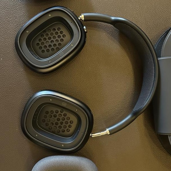 Apple AirPods Max - Gray