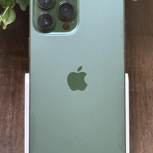 Apple iPhone 13 Pro Max - Unlocked, 128 GB, Green, A2484