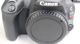 Mint
													Canon EOS Rebel SL2, photo 3 of 15