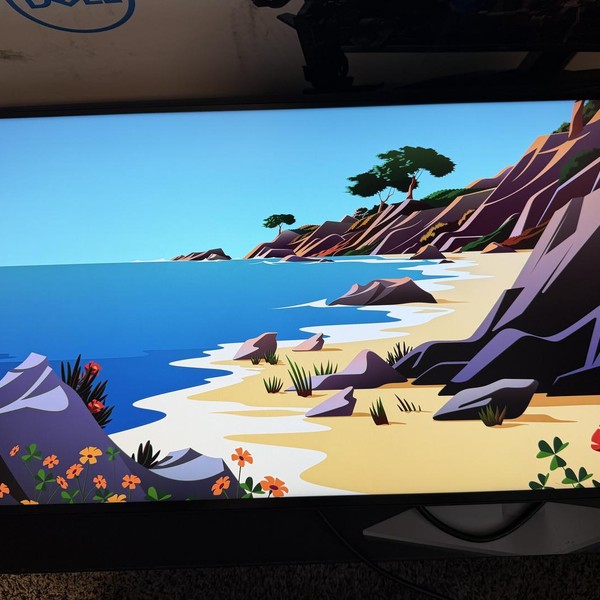 Dell Monitor