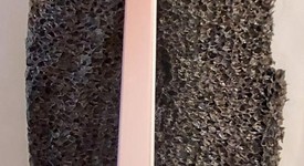 Mint
													Apple iPhone SE 1st Gen 2016 - T-Mobile, Rose Gold, 32 GB, A1662, photo 4 of 7