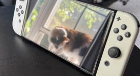 Mint
													Nintendo Switch - OLED - White, 64 GB, photo 1 of 13