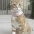 Seller: Hannah J.